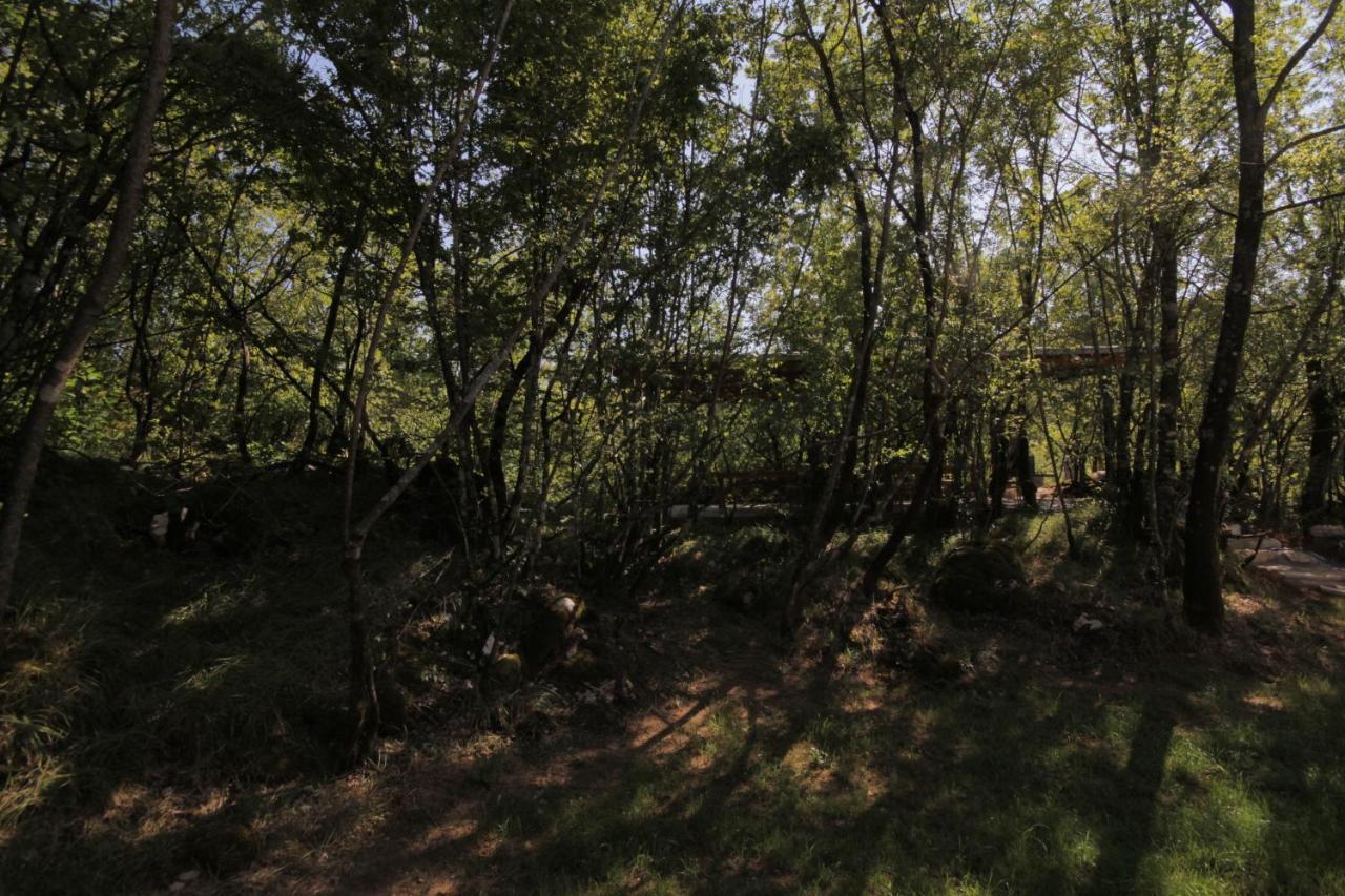 Vukova Dolina Apartments Cetinje Eksteriør billede